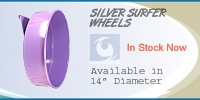 Silver Surfer Chinchilla Exercise Wheels are now in the E-store!