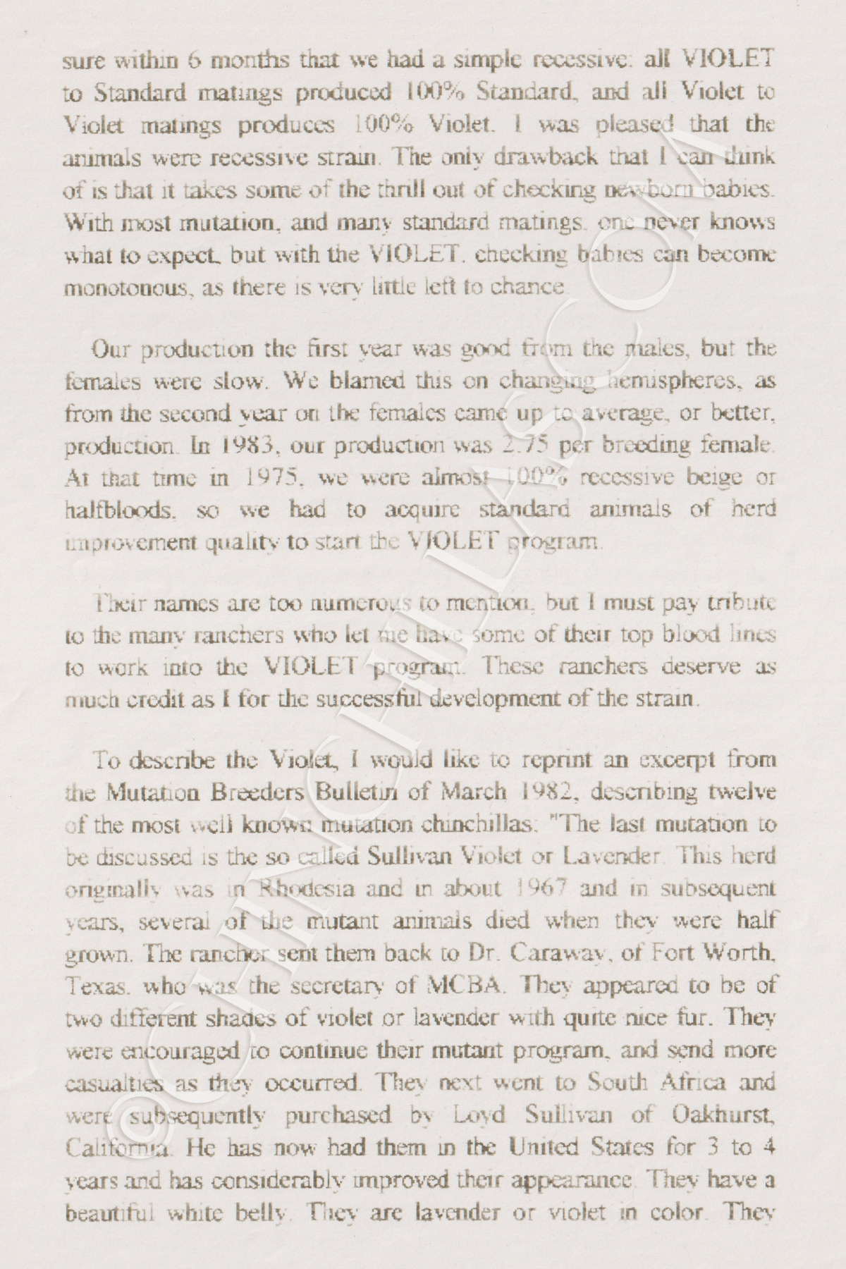 Violet Chinchilla Lloyd Sullivan Original Manuscript Account Mr X Rhodesia Africa Oakhurst California